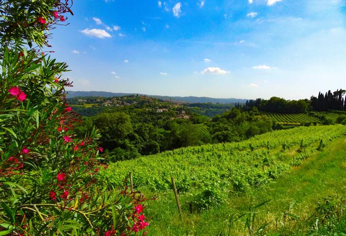 Der Etsch-Veloweg - Durch Südtirol nach Verona - Velotour