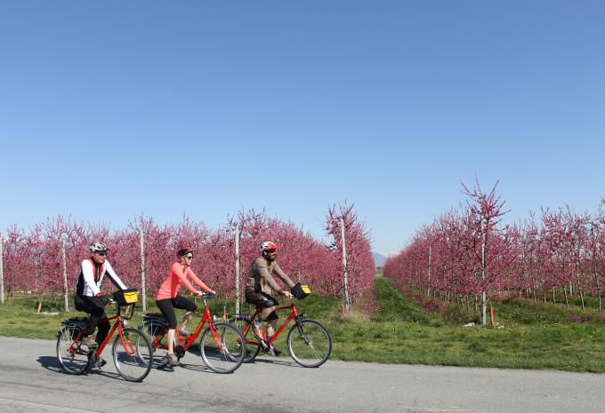 Genuss pur im Piemont - Velotour