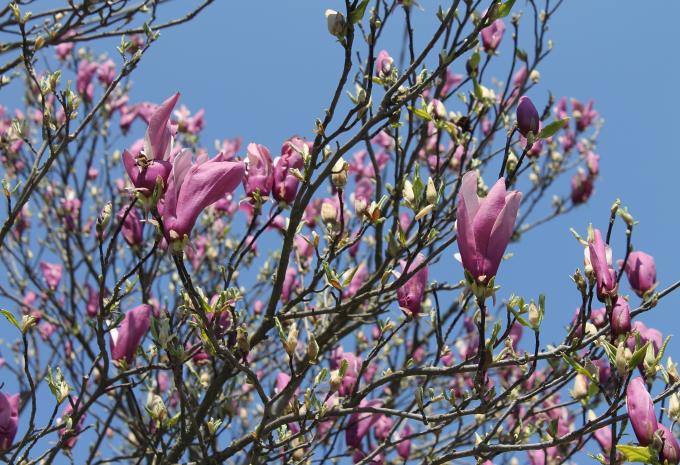 Genuss pur im Piemont - Velotour