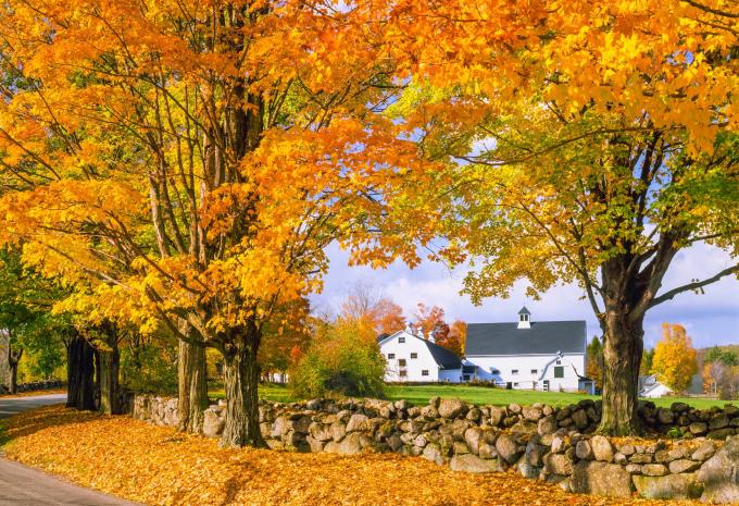 White Mountains - Farmhouse