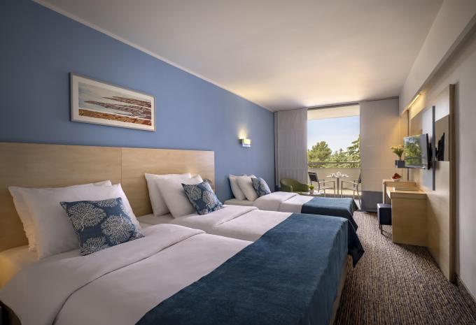 Exemple de chambre, chambre double côté parc 2 +1 avec balcon