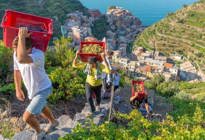 Italia - Riviera di Levante - Escursione a piedi