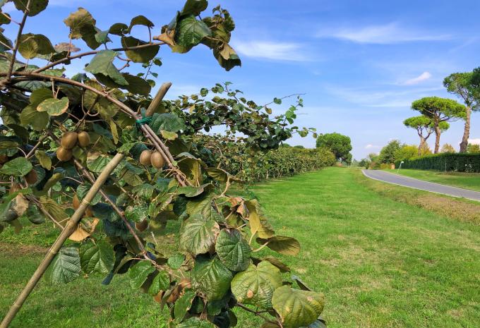 Von Venedig nach Florenz - Velotour