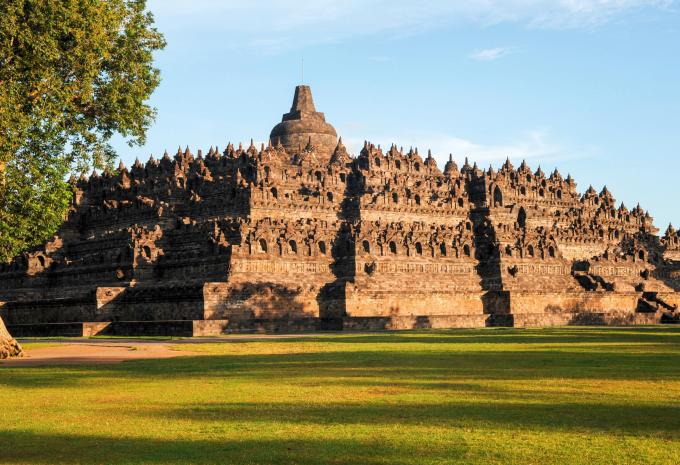 Orangutan - Giava - Bali - Tour