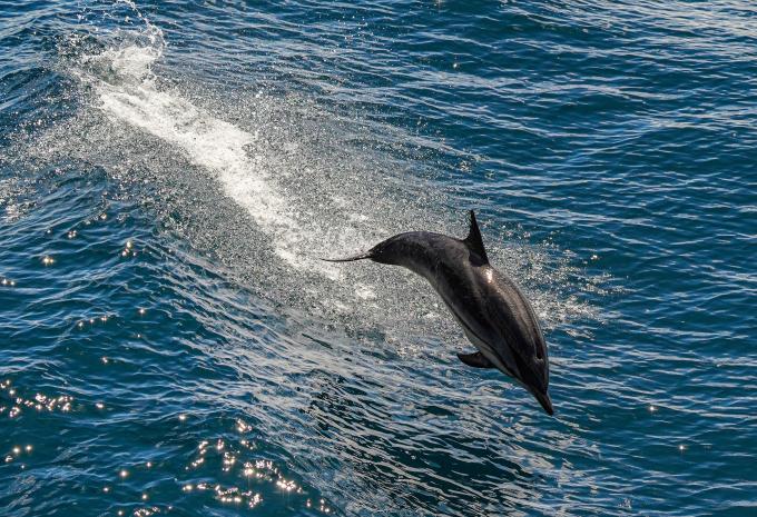 Neuseeland & Subantarktischen Inseln - Expeditionskreuzfahrt & Rundreise