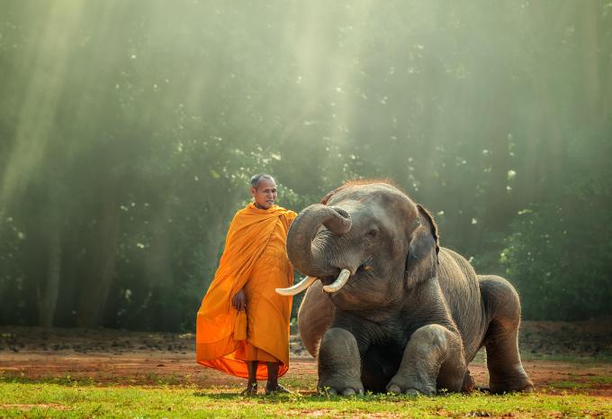 Dalla Thailandia a Hong Kong - Crociera