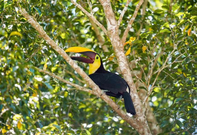 Costa Rica e Panama - Crociera di lusso e tour