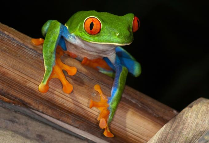 Costa Rica e Panama - Crociera di lusso e tour