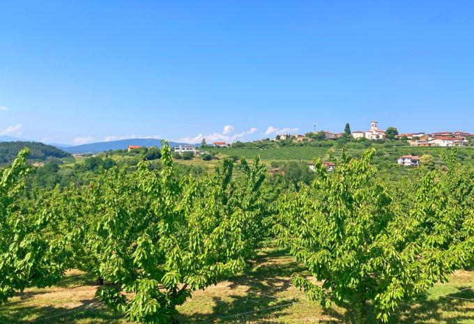 Durch das bezaubernde Friaul - Velotour