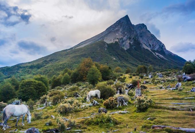 Parc national de la Terre de Feu