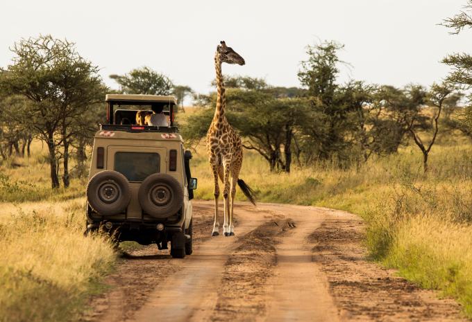 Tanzania e Zanzibar - Safari & soggiorno balneare