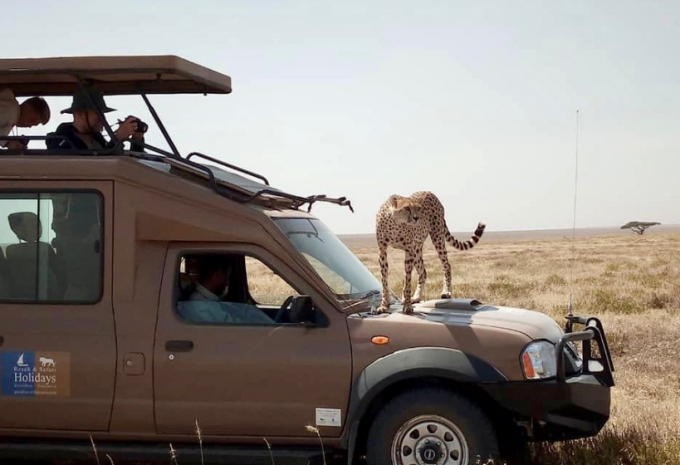 Tanzania e Zanzibar - Safari & soggiorno balneare