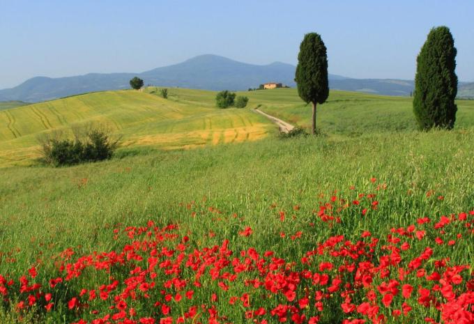 Toscane