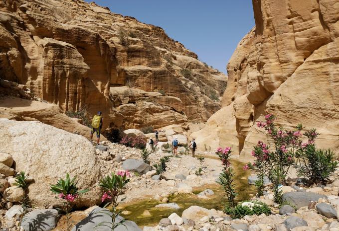 Réserve de biosphère, Dana