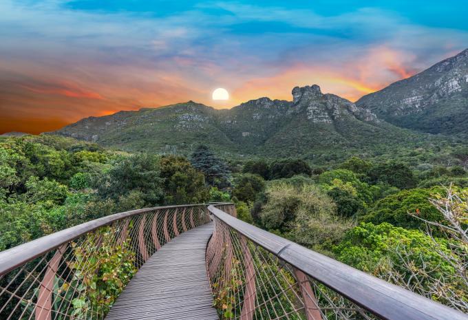 Botanischer Garten, Kirstenbosch