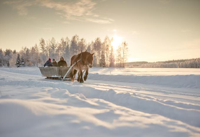 Vacances en lodge au cercle polaire - Circuit en étoile