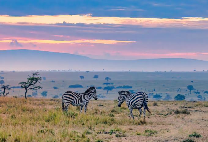 Kenya - Nel regno dei Big Five - Tour, Safari e soggiorno balneare