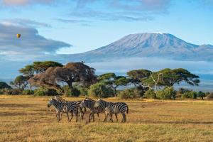Kenia - Im Reich der Big Five - Rundreise, Safari & Baden