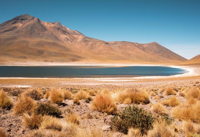 Laguna Miniques, San Pedro de Atacama
