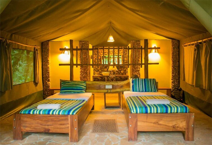 Uganda - Im Reich der Gorillas & Schimpansen - Rundreise & Safari