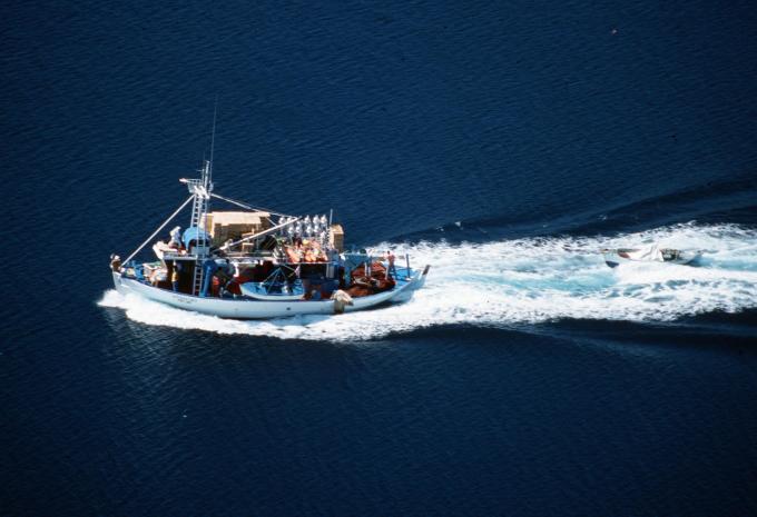 Chalkidiki - Tour escursionistico