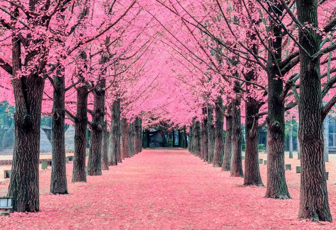 Südkorea - Rundreise