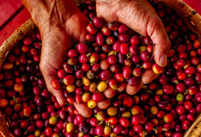 Colombia - Tour & soggiorno balneare