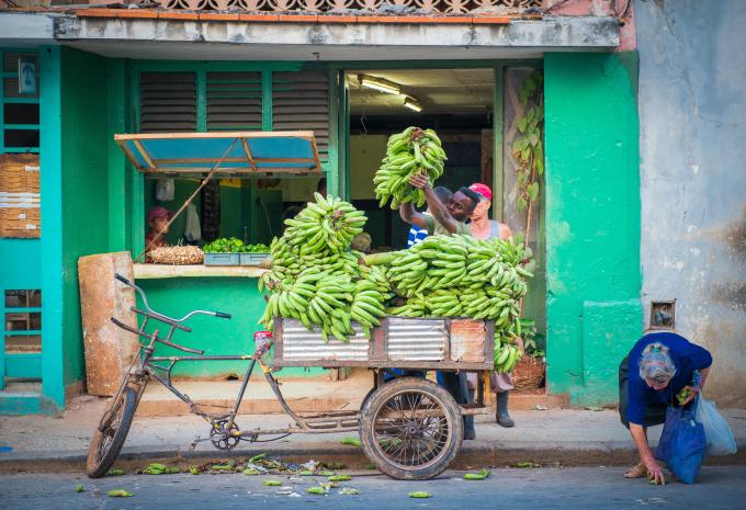 Cuba - Breve tour e mare “Viva Cuba”