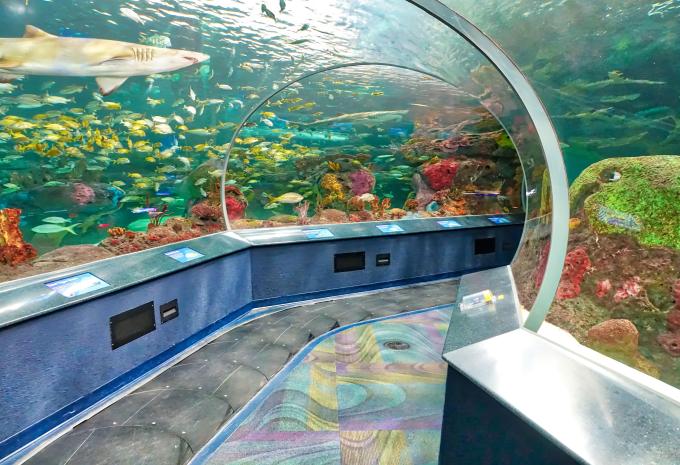 Ripley's Aquarium of Canada