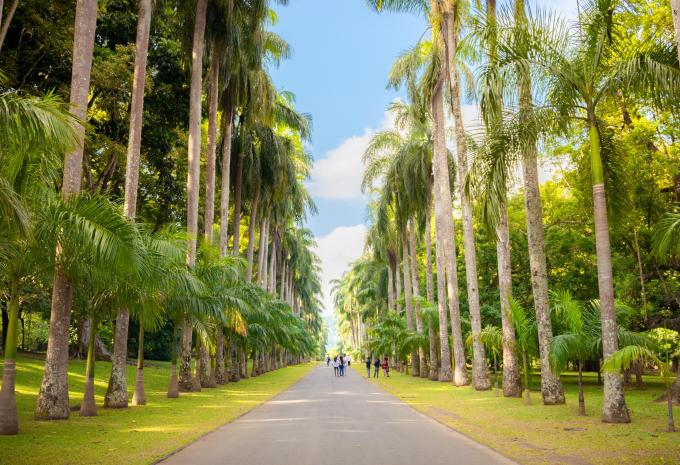 Peradeniya