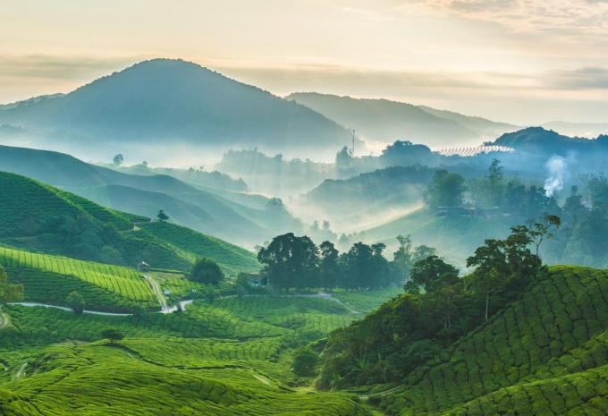 Sri Lanka - circuit et séjour balnéaire