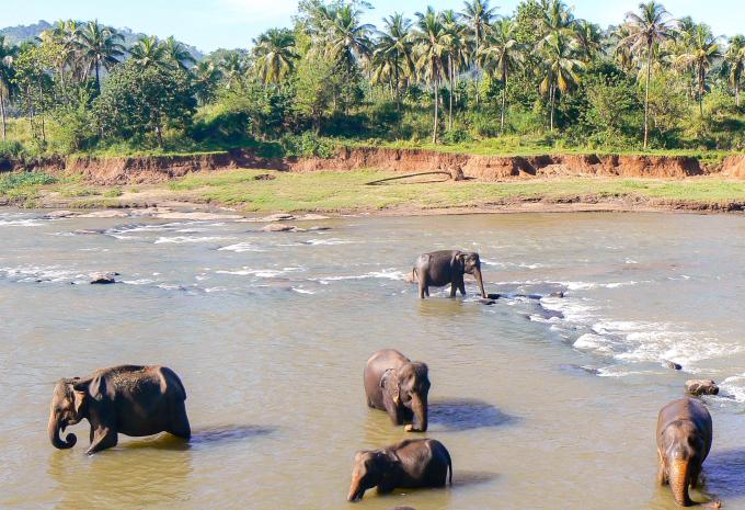 Udawalawe