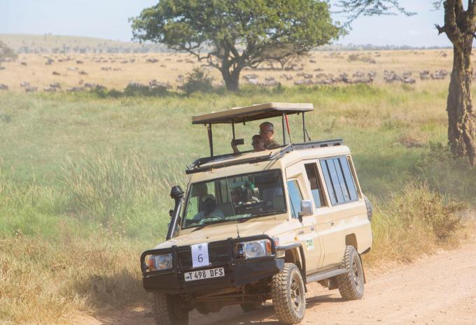 Kenia & Tansania - Safari