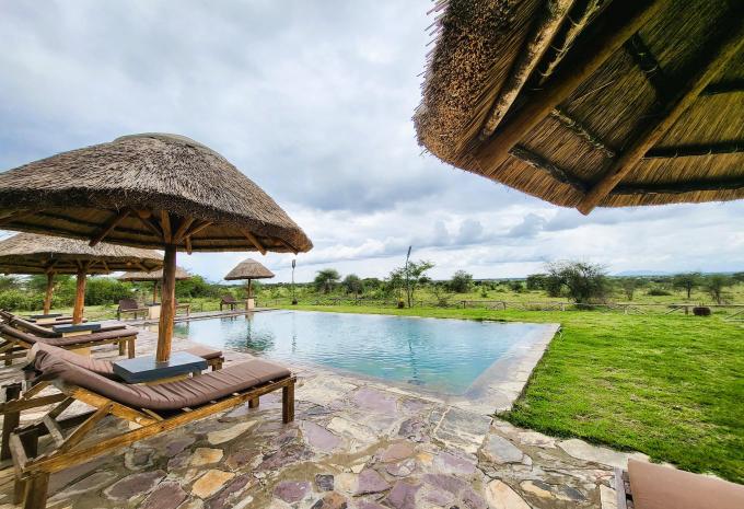 Africa Safari Serengeti Ikoma