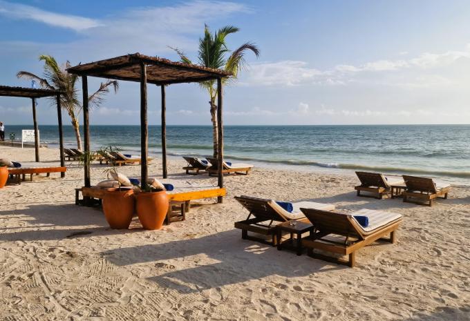 Dream of Zanzibar*****