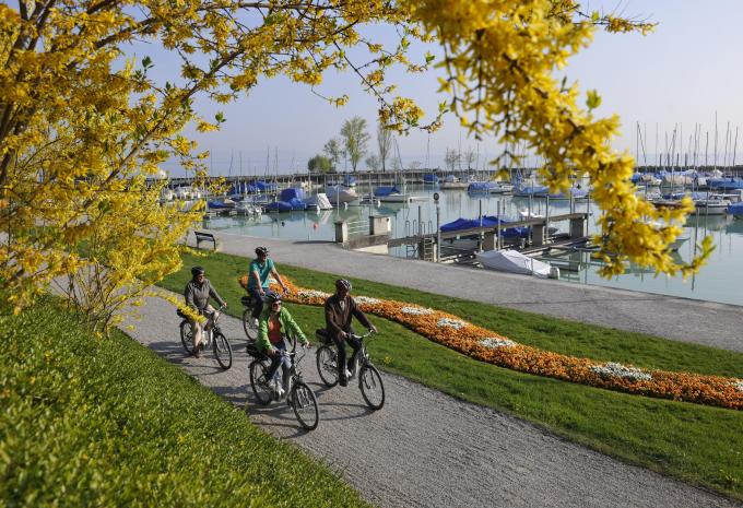 Lago di Costanza da/a St. Margrethen - Tour in bicicletta