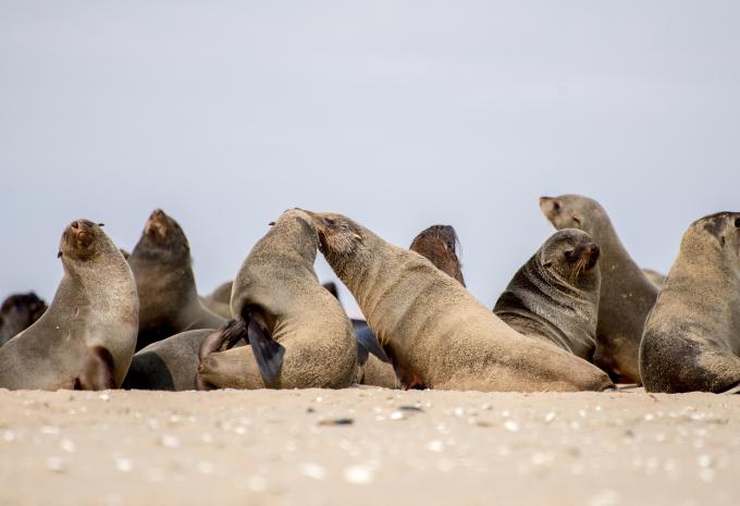 Walvis Bay, Namibia
