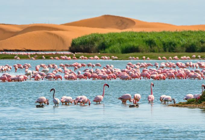 Walvis Bay, Namibia