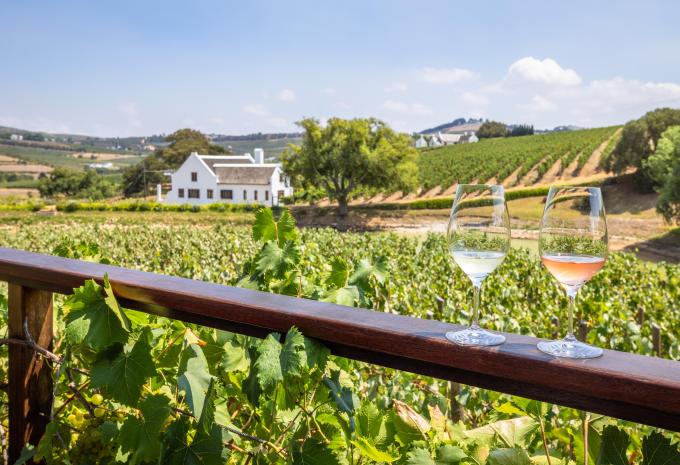 Weinanbaugebiet, Südafrika