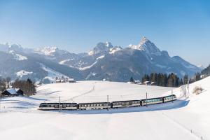 Romanticismo invernale con il Golden Pass Express  - Tour in treno