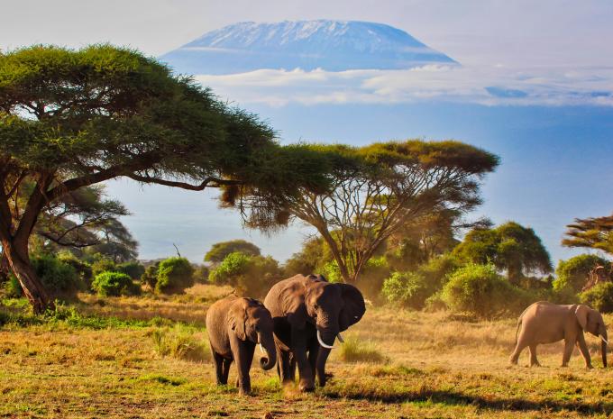 Amboseli National Park