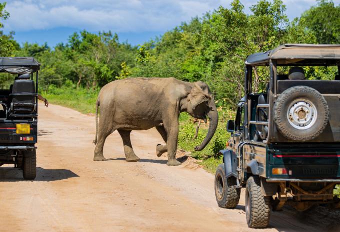 Yala Nationalpark
