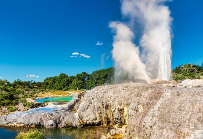 Te Puia Geysier, Rotorua