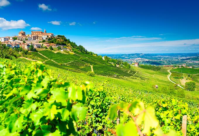 Barolo