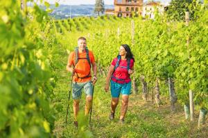 De Vérone au Lac de Garde - randonnée viticole dans la Valpolicella