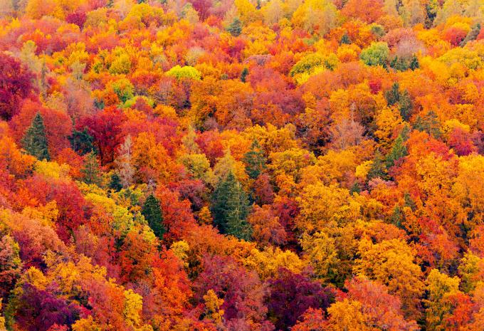 Indian Summer