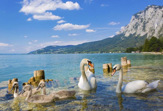 Les lacs de la région de Salzbourg - Tour à vélo
