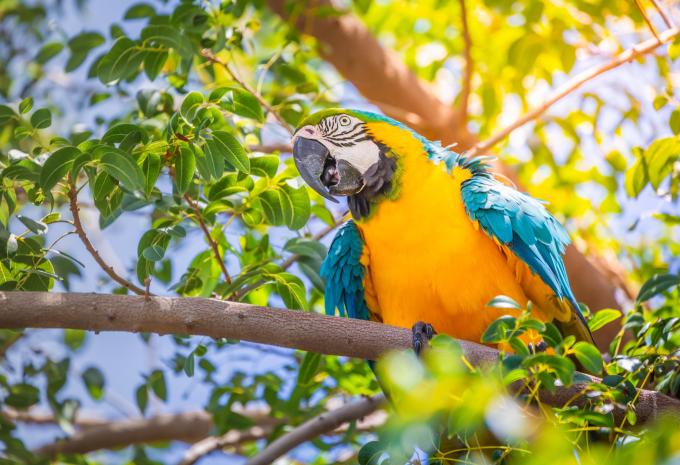 Brasile - Tour e mare - Da Rio a Salvador