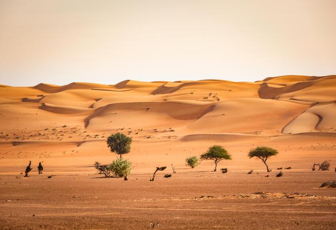 Wahiba Sands