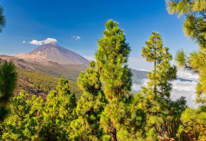 Teneriffa